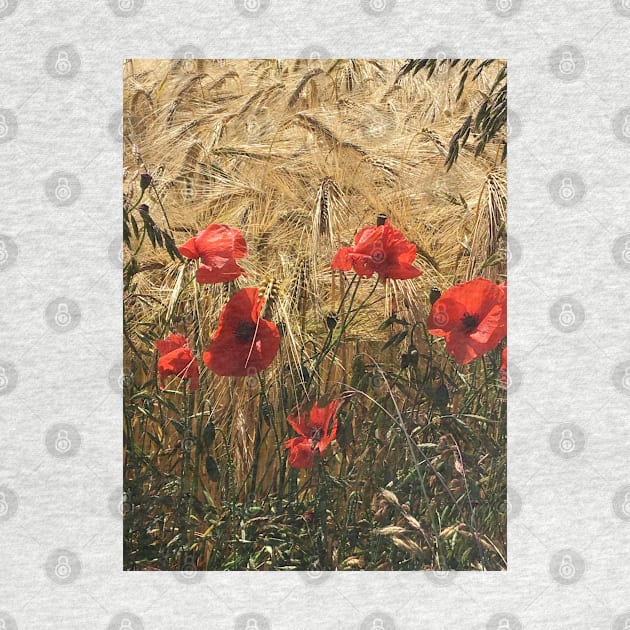 Not Wheat or Gluten Free, these Poppies Stand out from the Crowded Field by Bucklandcrafts